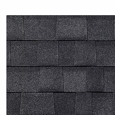 Onyx Black Shingles